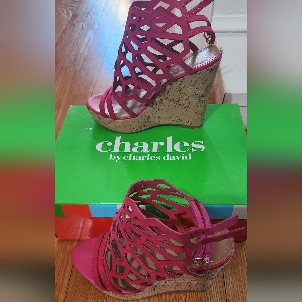 Charles by charles david - Magenta Apollo Wedges